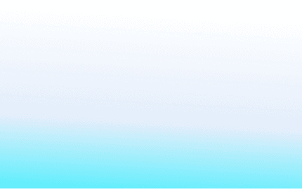 park and fetch association